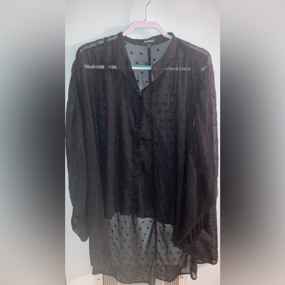 Express Sheer polka dot button up shirt